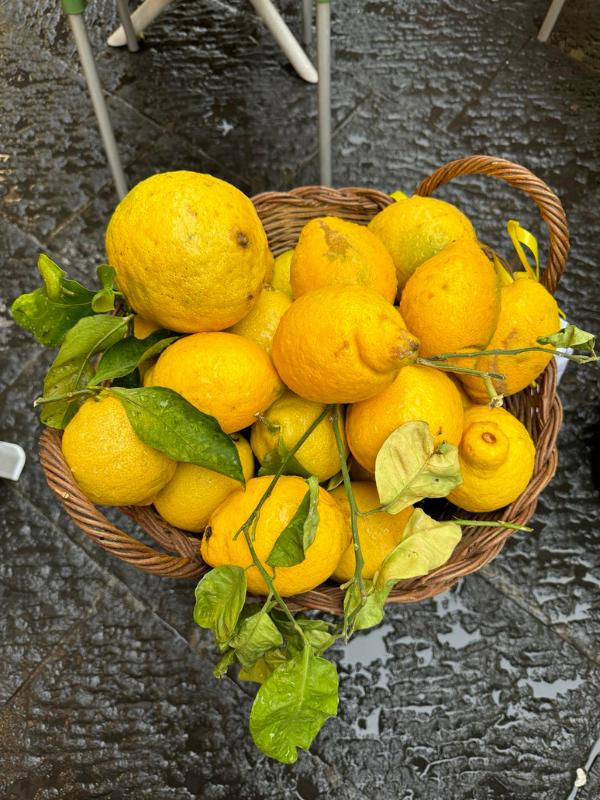 Lemons in a basket.