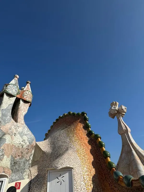 Roof of Case batlo