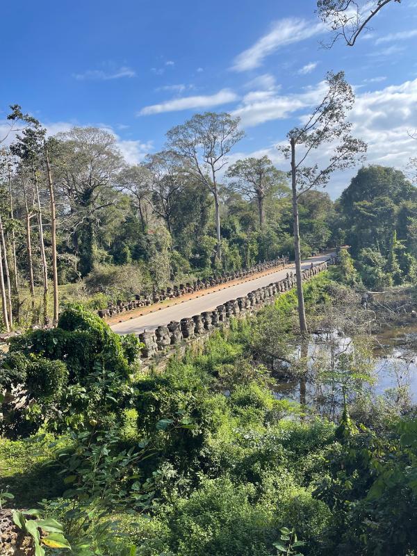 Cambodia bridge